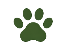 Natural corn cob grits used in eco friendly cat litter production