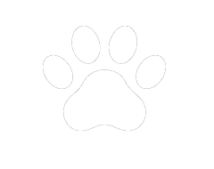 Natural corn cob grits used in eco friendly cat litter production